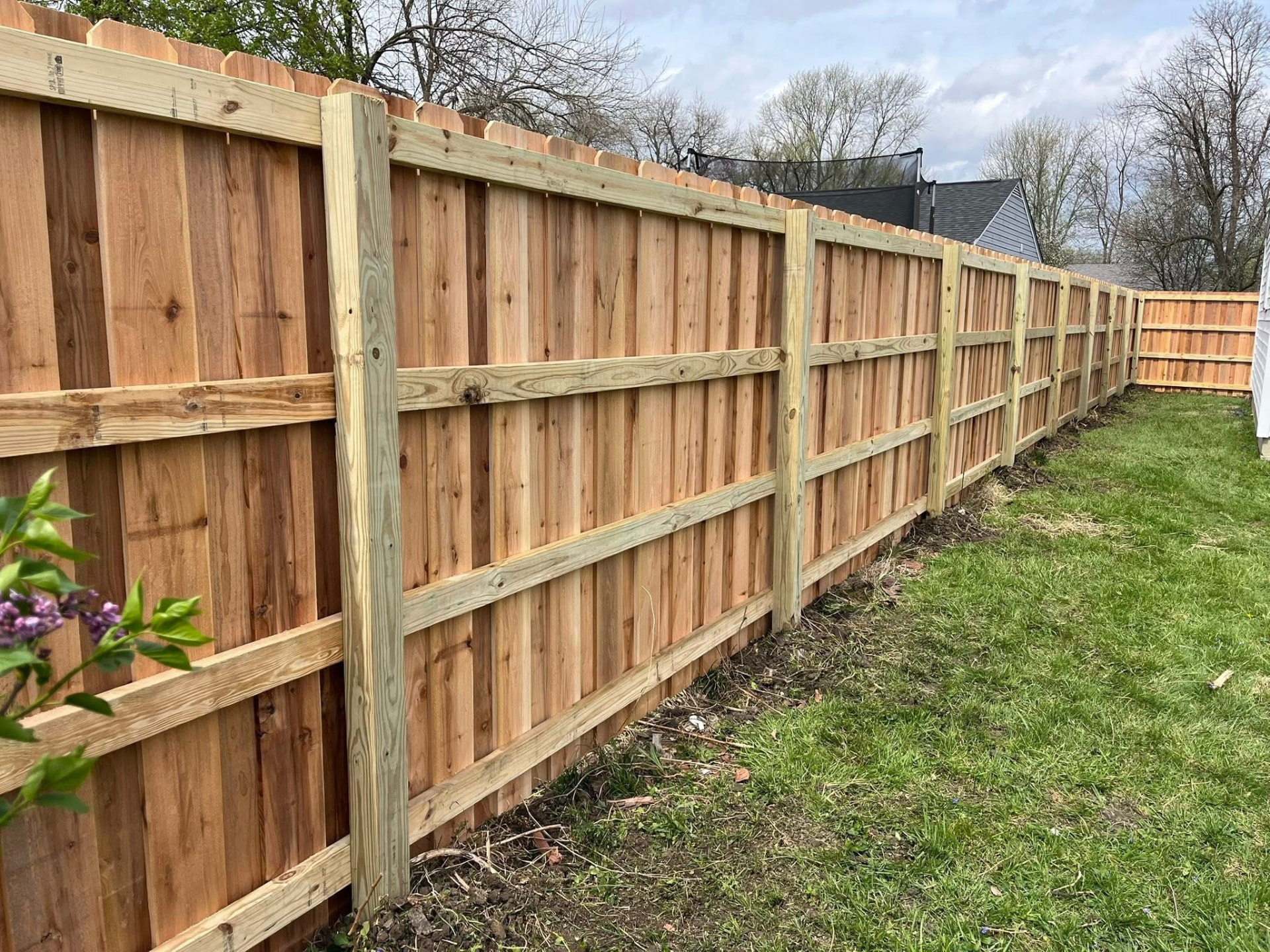 Cedar board privacy fence along a backyard